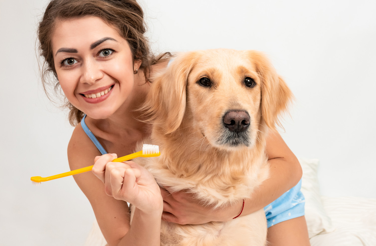 best dog toothpaste